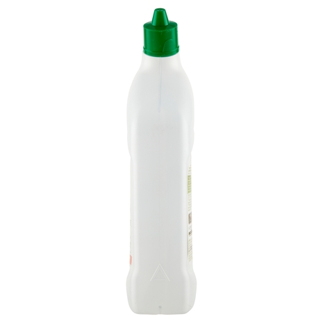 Detergente Disincrostante WC Gel Green Oasis